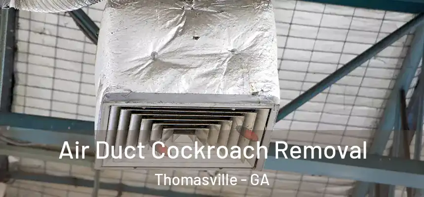  Air Duct Cockroach Removal Thomasville - GA