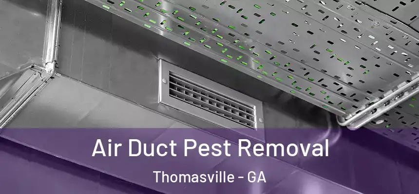  Air Duct Pest Removal Thomasville - GA