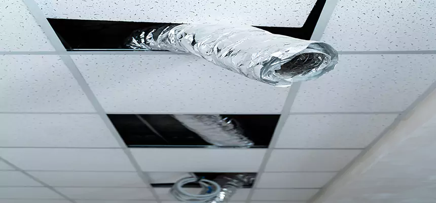 Our Air Duct Pet Hair Removal Services in Thomasville, GA