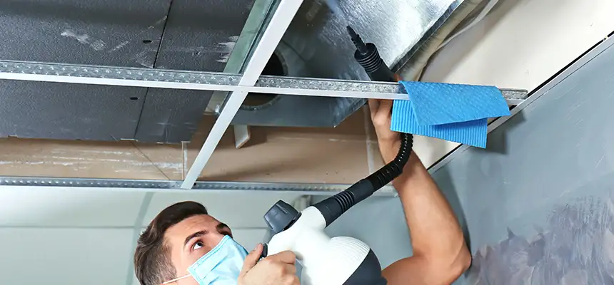 Our Air Duct Rodent Removal Services in Thomasville, GA