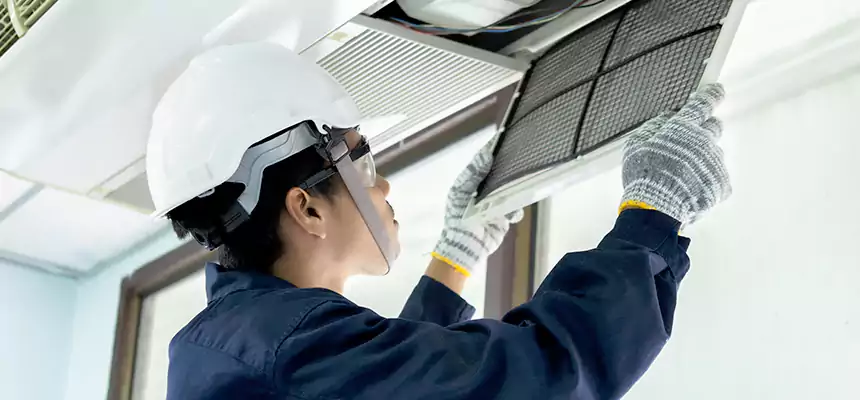 Our Mold & Mildew Removal from Air Ducts Services in Thomasville, GA