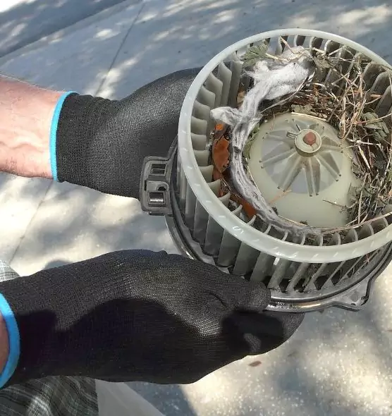 About Air Duct Mice Removal in Thomasville, GA