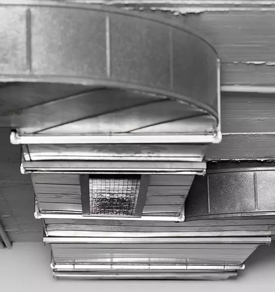 Professional Air Duct Pest Removal in Thomasville, GA