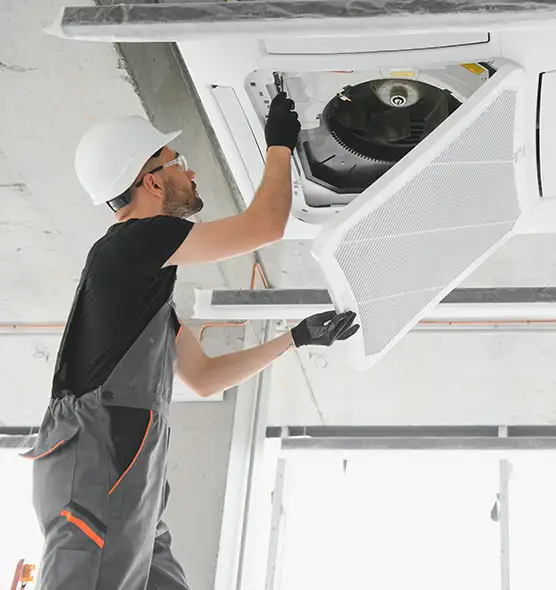 About Air Duct Rodent Removal in Thomasville, GA