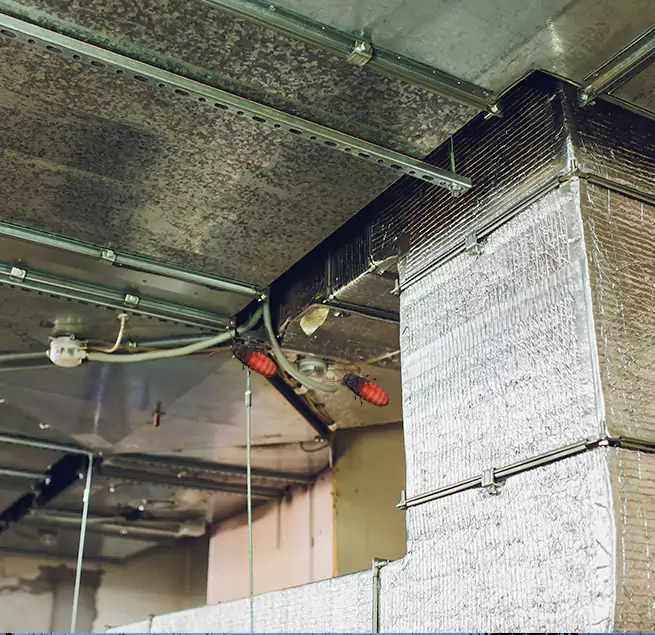 Why Homeowners & Businesses Trust Us in Thomasville, GA?