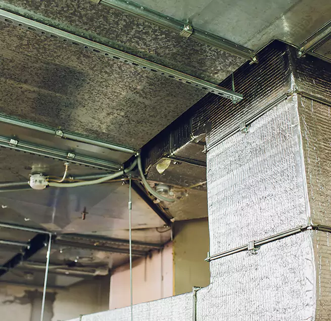 Why Homeowners & Businesses Trust Us in Thomasville, GA?